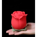 Urn lemmikloomale roos