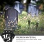 feeab8af-9439-4728-8566-fb2cf2afa8a6.jpg