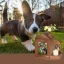 S0a7c436ebead443d92a197589ed4cd75J.webp