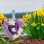 e686d06c-10f8-46a4-b996-81b9f7f2da15.jpg